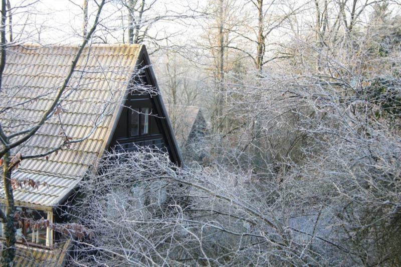 Heerlijk Vakantiehuis In Bos Bij Durbuy Villa Екстериор снимка